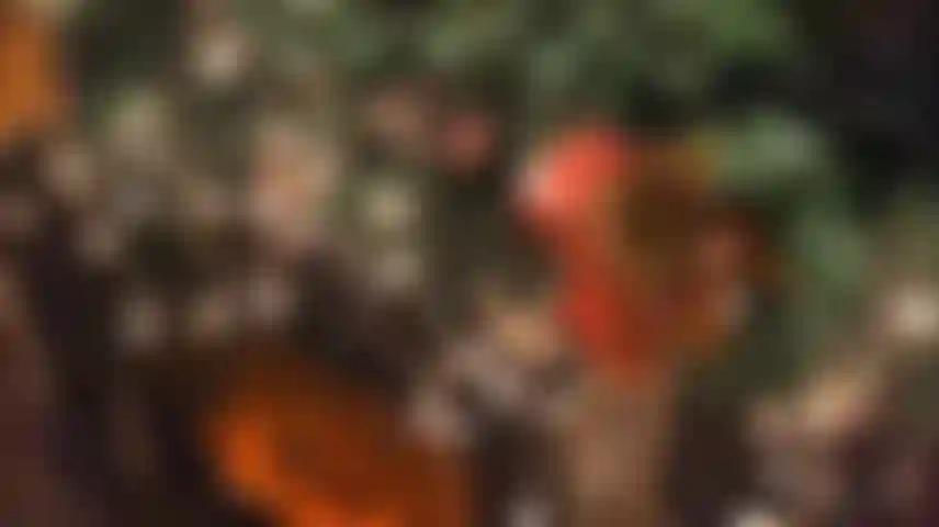 Revisé la lista dos veces y definitivamente has sido traviesa.