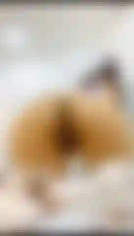 Adora mi culo y mis pies.