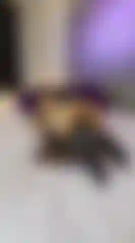 Cabalgando mi almohada.