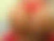 ( Azul y bronceado leggin deepthroat, joi y cum cuenta regresiva). Te provoco con mi jugoso culo mientras me pruebo leggins. Disfruta de mis grandes tetas rebotando mientras chupa esa polla. Vente a este culo en leggins papi.