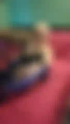 Cumming with the monster dildo