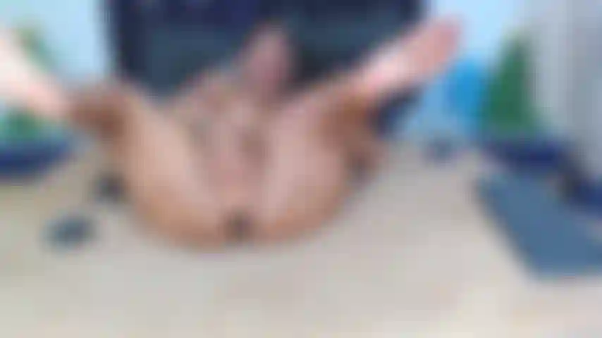 Folla duro y rápido mi coño mojado.