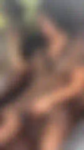 Quick Flash in the Woods