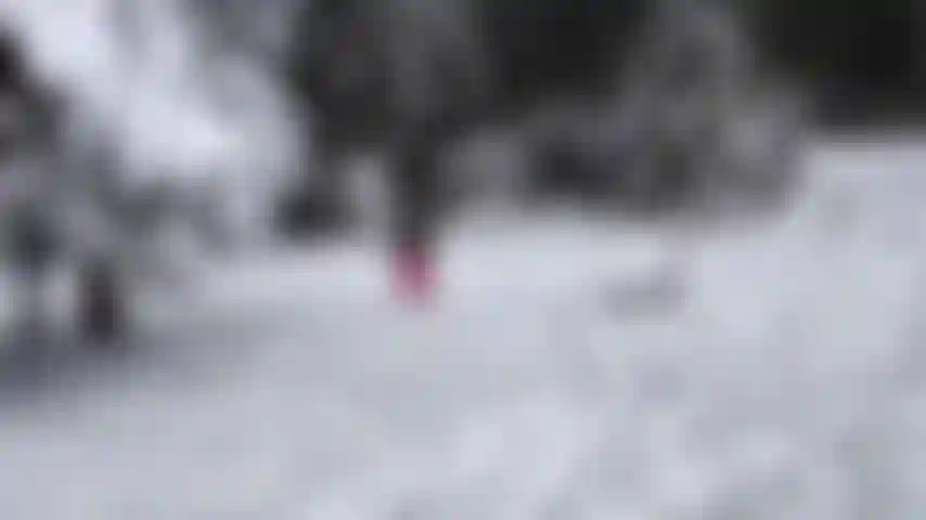 Mi paisaje favorito en invierno.