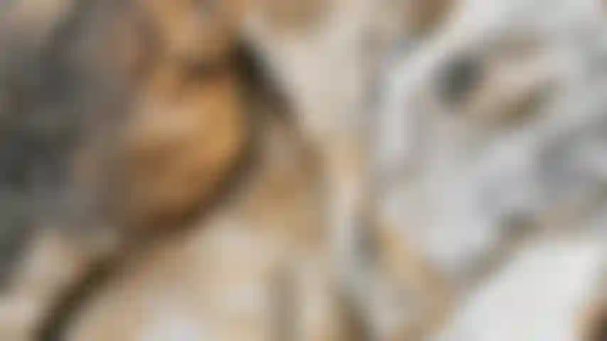 La sesión de fotos ya ha terminado, voy al barco.