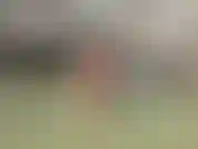 Nadar y tomar el sol.