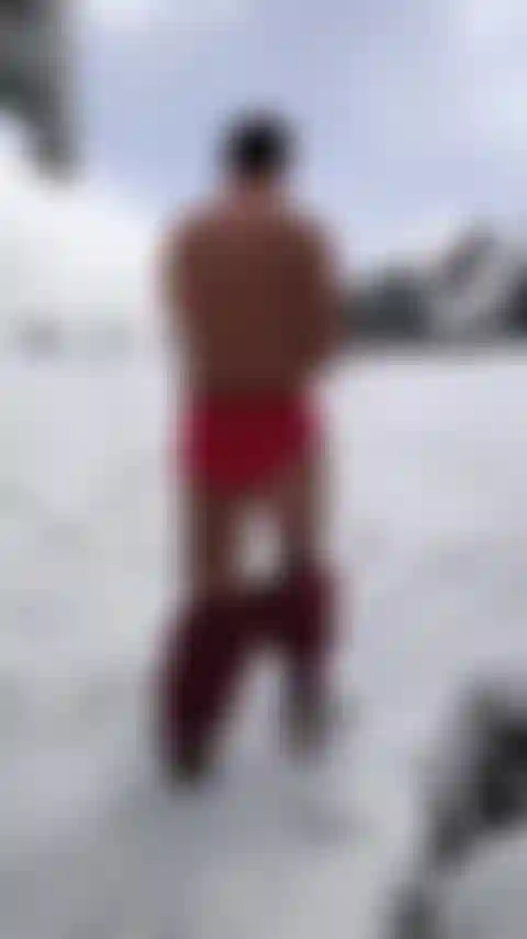 Brutus, el breve venado rojo, está perdido.