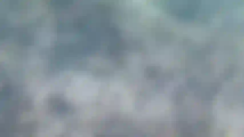 Uso mis aletas para nadar mejor.