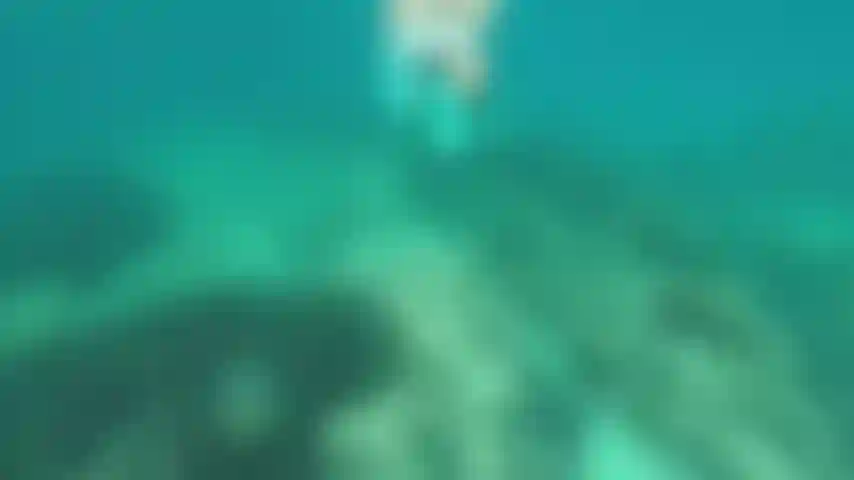 Un último chapuzón y me voy.