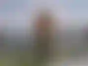 Me mojo y me flexiono en mi camisa interior.