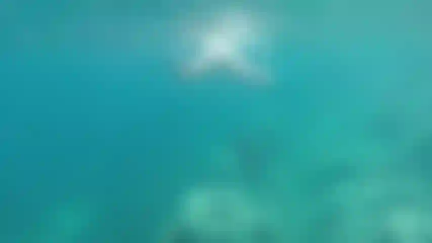 Nado desnudo esquivando las picaduras. :)).