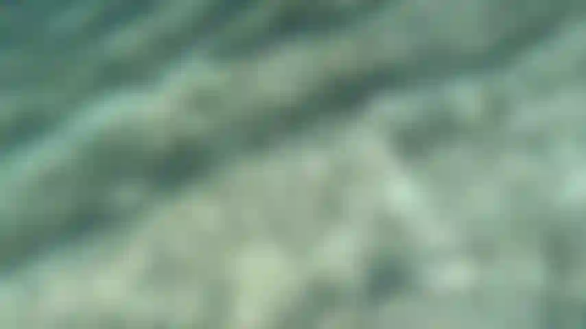 El asombroso mar profundo...