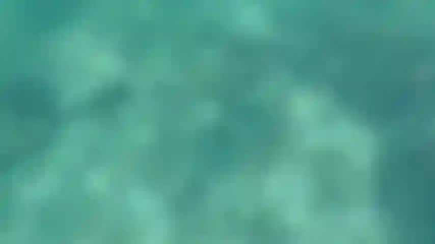 Desnudo buceando con mis aletas.