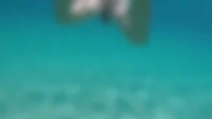 Nadando desnudo en agua clara.