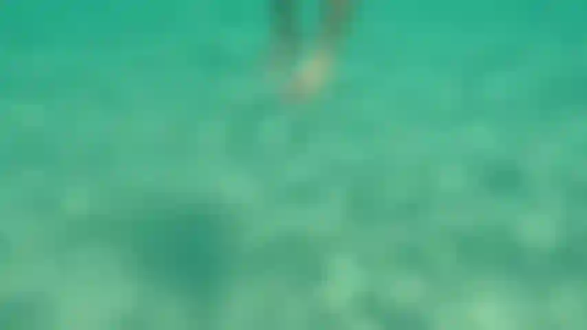 ¿Quieres nadar y bucear desnudos juntos?