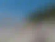 Divirtiéndome en un bañador brasileño junto a un gran árbol. La vista es increíble.