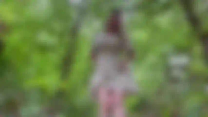 Destellos en el bosque, al aire libre.