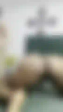 Una polla blanca estira mi culo negro para ver qué hay dentro.