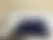 Zorra anal plaid azul.