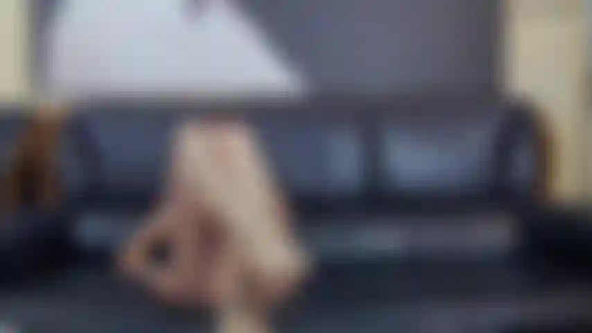 Pantimedias, pies y piernas.