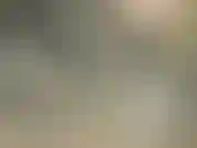 Solo mira esto... Solo mira.