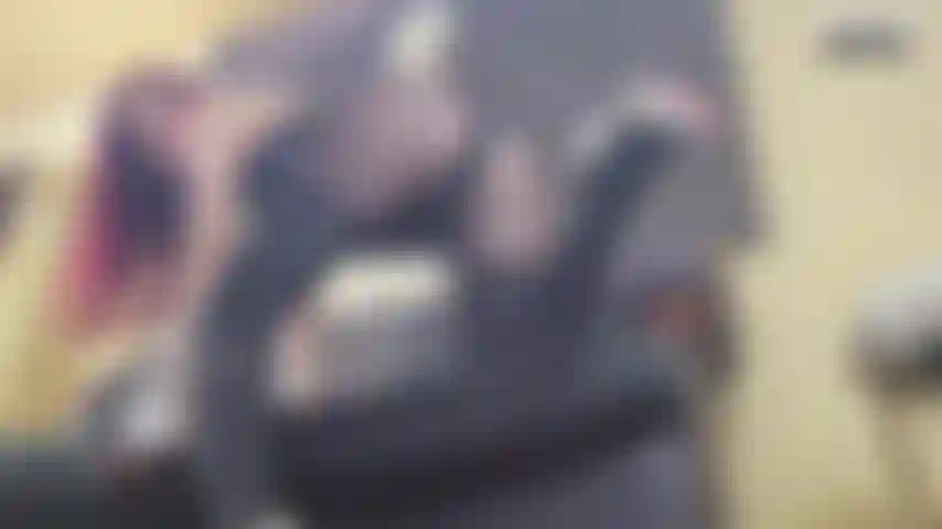 Trazo, borde, matón, repetición.