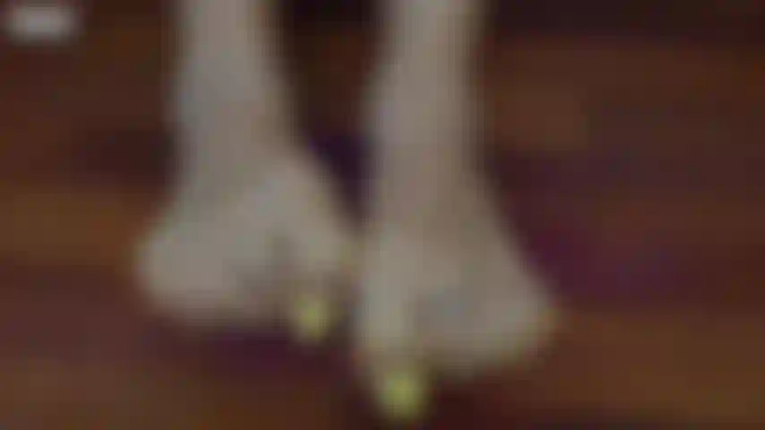 Todo lo que necesitas son mis pies.