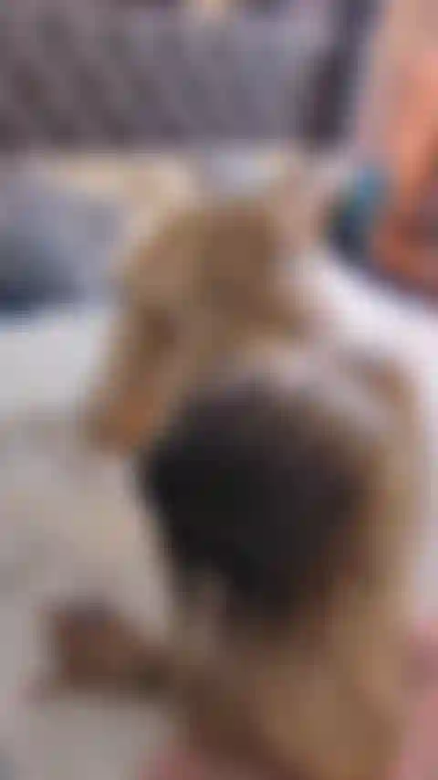 Tan extraña, tan sexy.