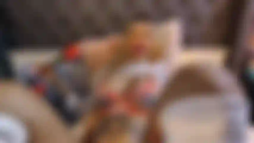 Antes de comer está el aperitivo.