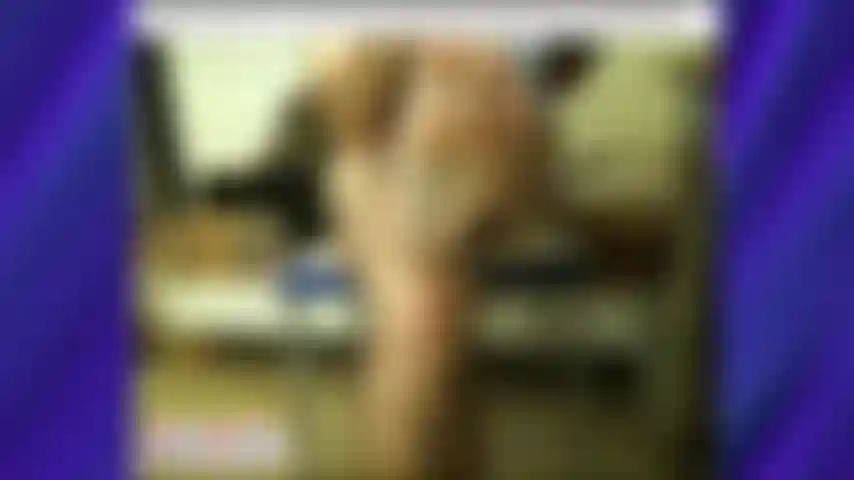 Los pies del entrenador karl en el camino en praga [1281].