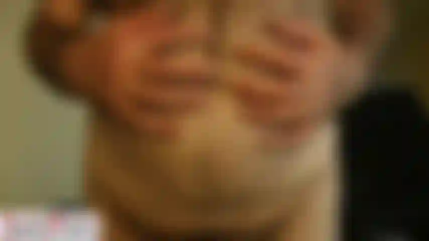 Entrenador karl vientre suave y peludo [1337].