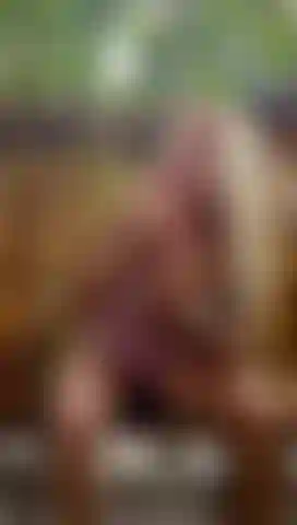 Chupando tu polla dura.