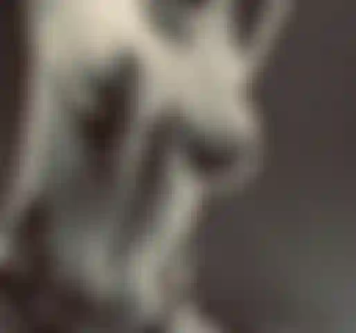 La provocación de tetas de cosmic vixx.