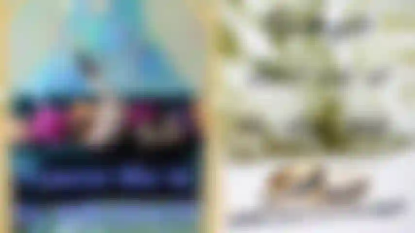 {PREVIEW} I Guess She is My Wife now?! I remember her from last night. We were in the VIP lounge, having fun, and she was in my lap all night. What happened between last night and this morning? Im demanding answersbut with every piece of clothes she strips off I am drooling all over her again. Is that my girlfriend's engagement ring on her finger?!?! HELP!