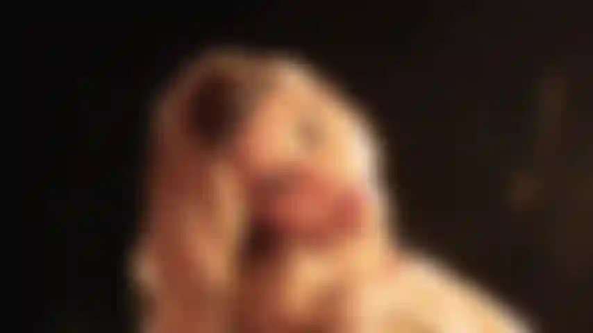 join me and let's have some fun