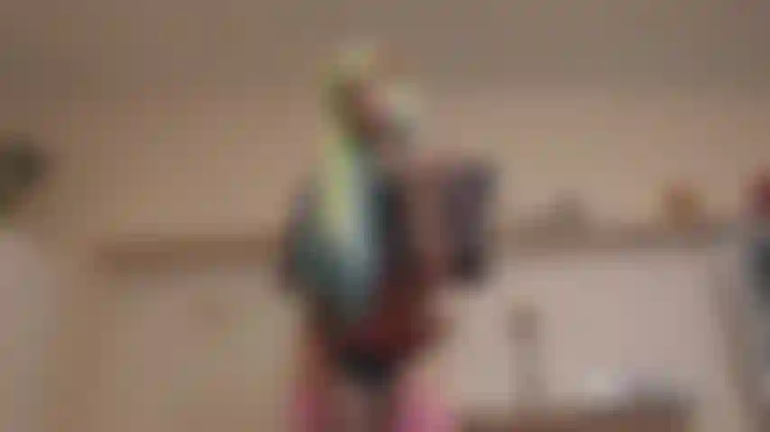 Las perras sissy lo necesitan mucho.