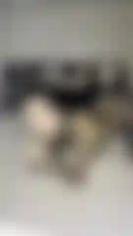 full nudity- extreme deepthroat with bbc dildo. lots of gagging. 6 minute video