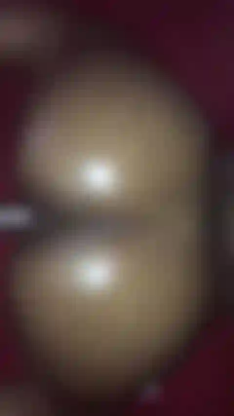 Chupitos traseros aceitados.