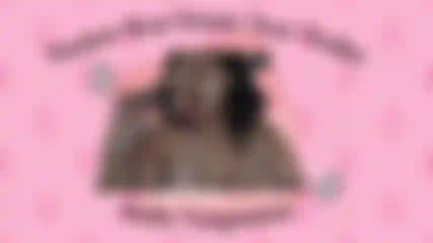 Brat del findom quiere tu billetera.