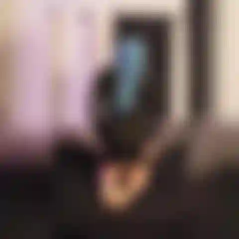 Adora mi culo aceitado y niégate!