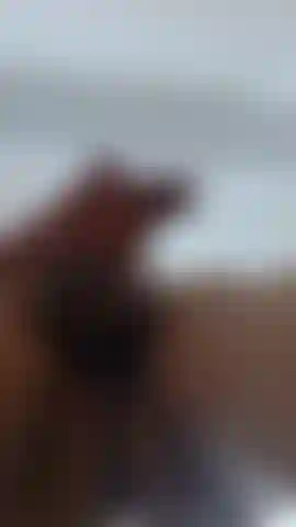 Mi enorme polla derramando toda su leche.