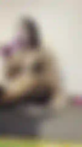 ¡Dios mío, mi ano era demasiado pequeño para eso!