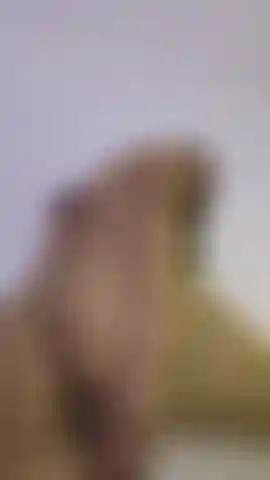 I let myself fall on top of the dildo without mercy... I want to feel it inside.