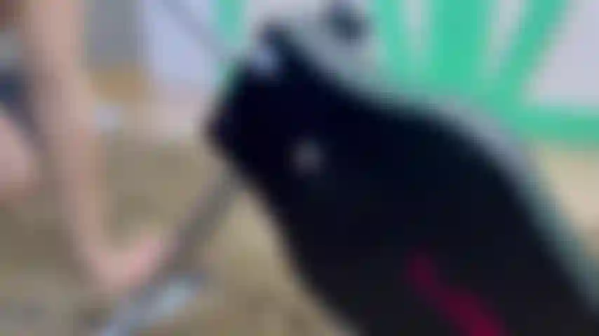 Mamada de máquina de follar parte 1.