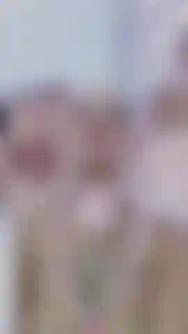 Tetas de conejita.