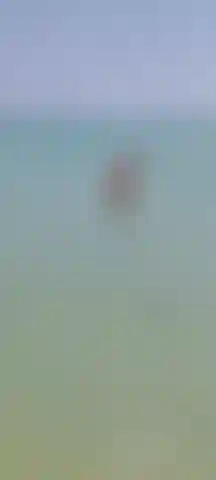Enjoy the wather