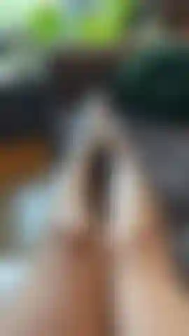 Mis pies se burlan de mis calcetines deportivos blancos, quitándolos lentamente.