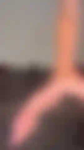 Fishnet JOI! Watch me wear my sexy fishnets and tease you with a very naughty JOI until you cum