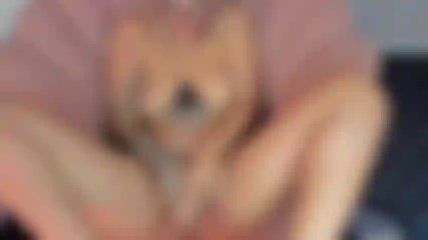 Mis tetas rebotan al ritmo de tu deliciosa polla follando mi coño.