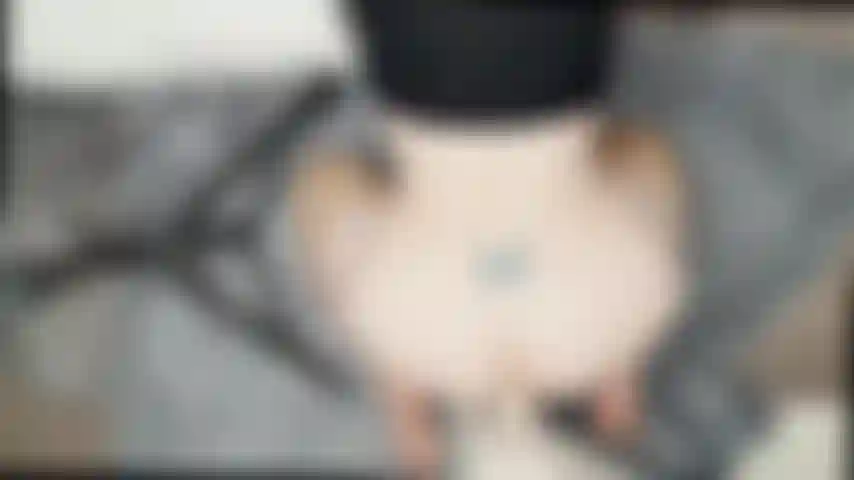 Doggie vista desde arriba/consolador montado en la pared.